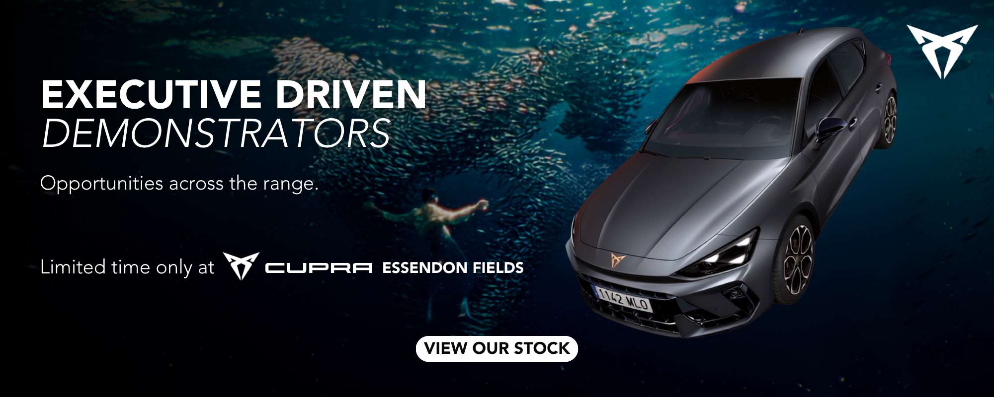 Web Banner A 8002000